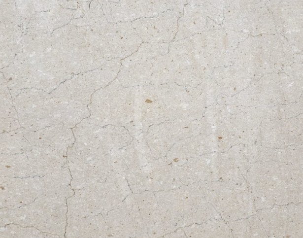 Botticina Cream Marble catalog image