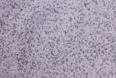 Sado Grey catalog image