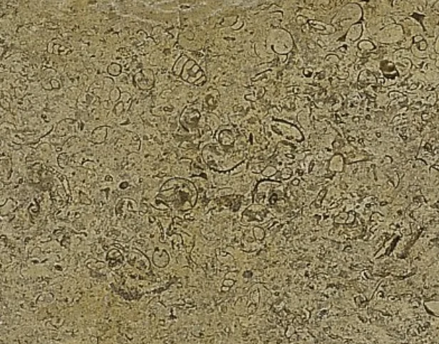 Coral Marble catalog photograph