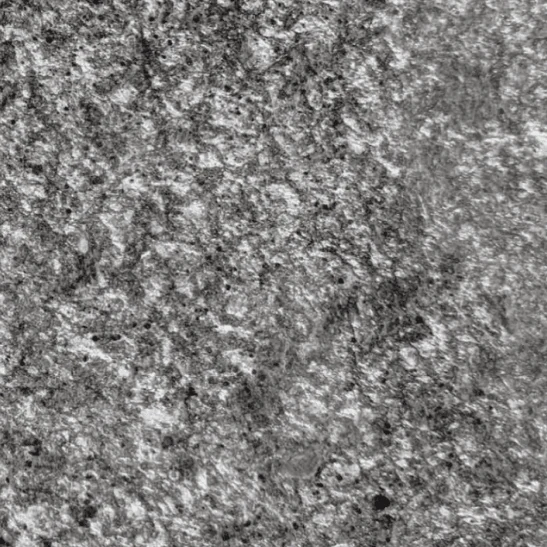Brown Pearl Granite catalog photograph