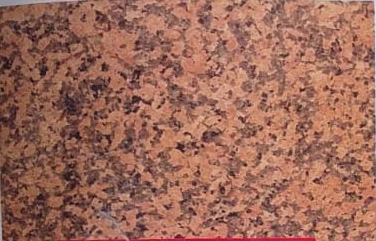 New Robi Red catalog photograph